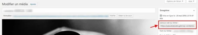 URL du média