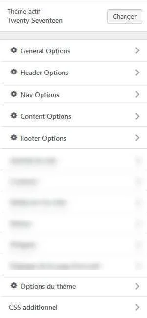 Options for Twenty Seventeen