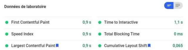 Oxygen - détail PageSpeed Insights Ordinateur