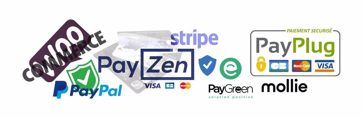 Les meilleures plateformes de paiement pour WooCommerce